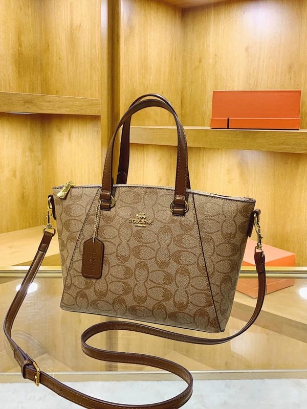 Designer Louis Vuitton Bags